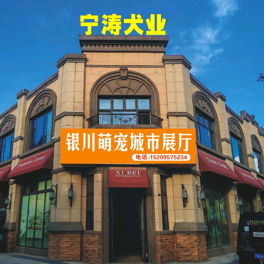 宁涛宠物俱乐部