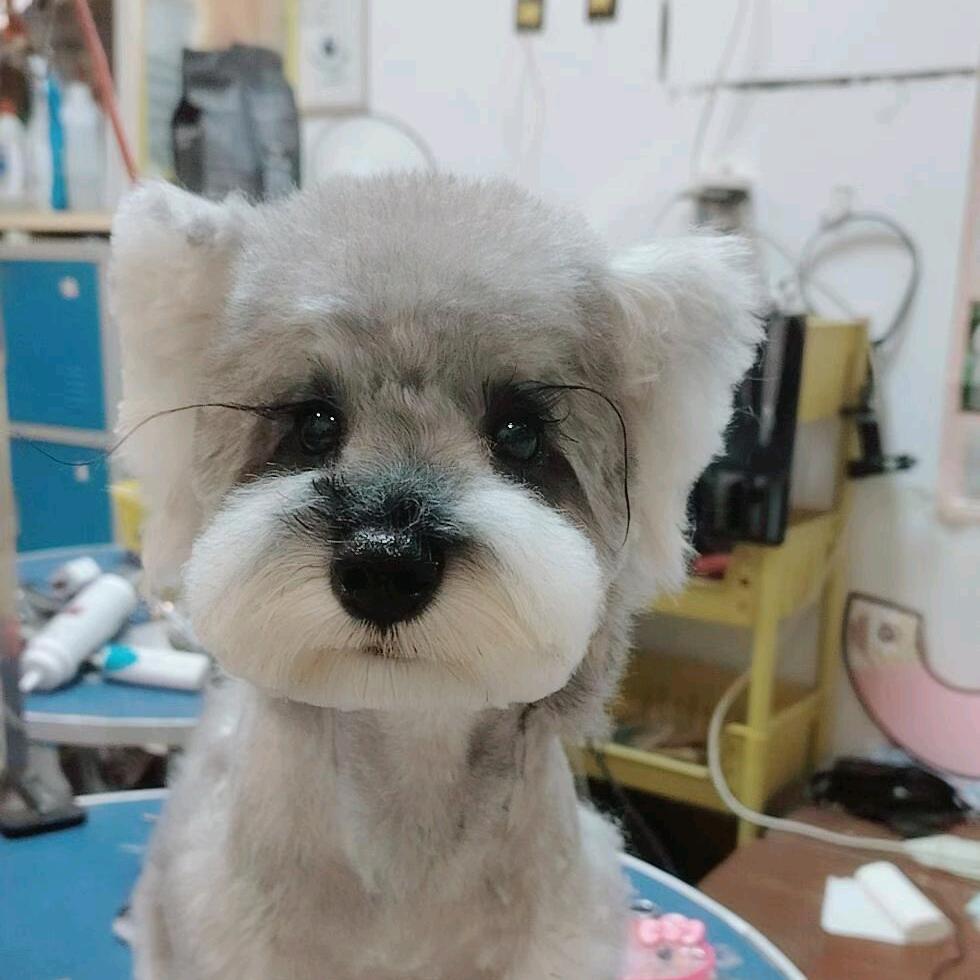 宠物尿垫厂家沂水工作室