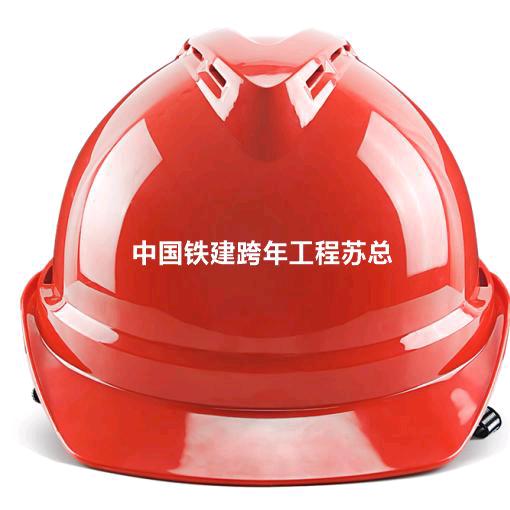 跨年工程苏