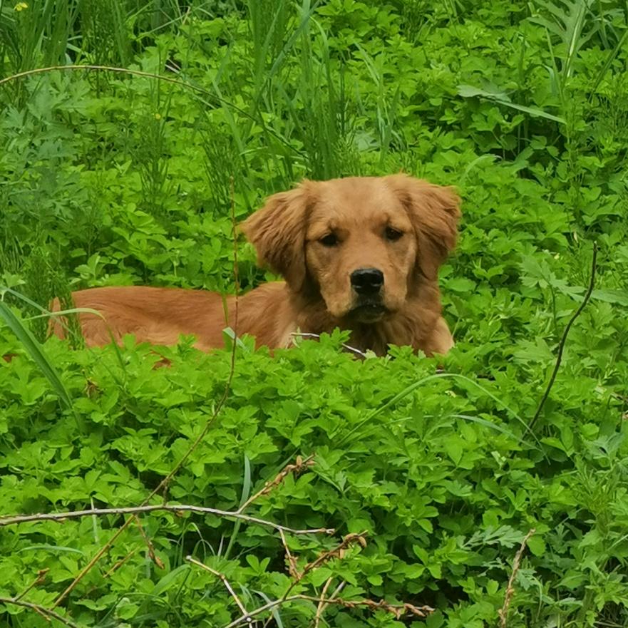 小院里的烟火气