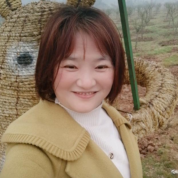 琼姐