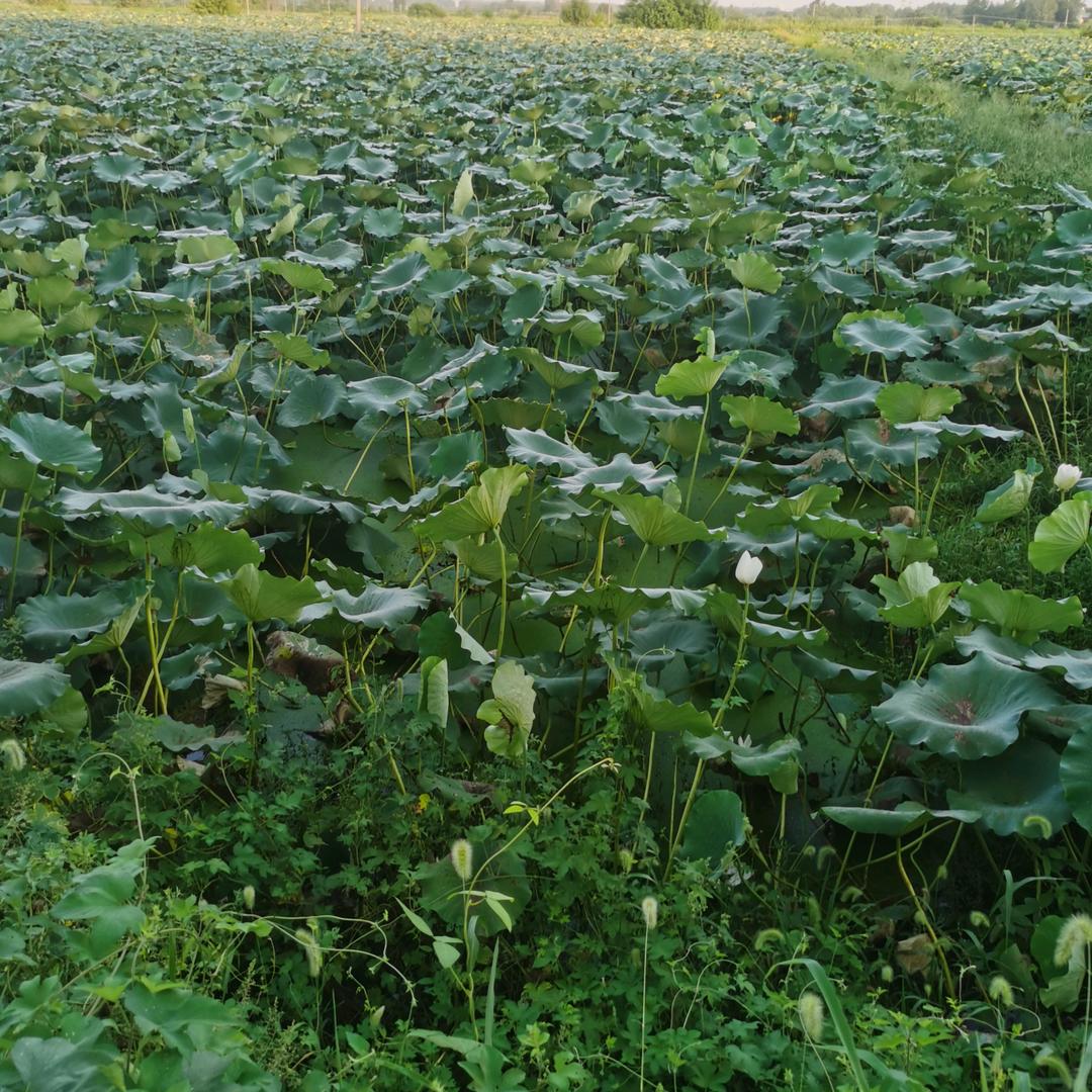 在苦在累也要笑笑