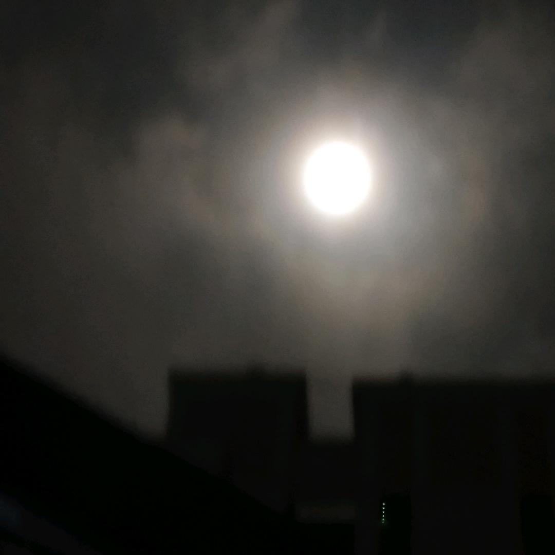 没想好起啥名字