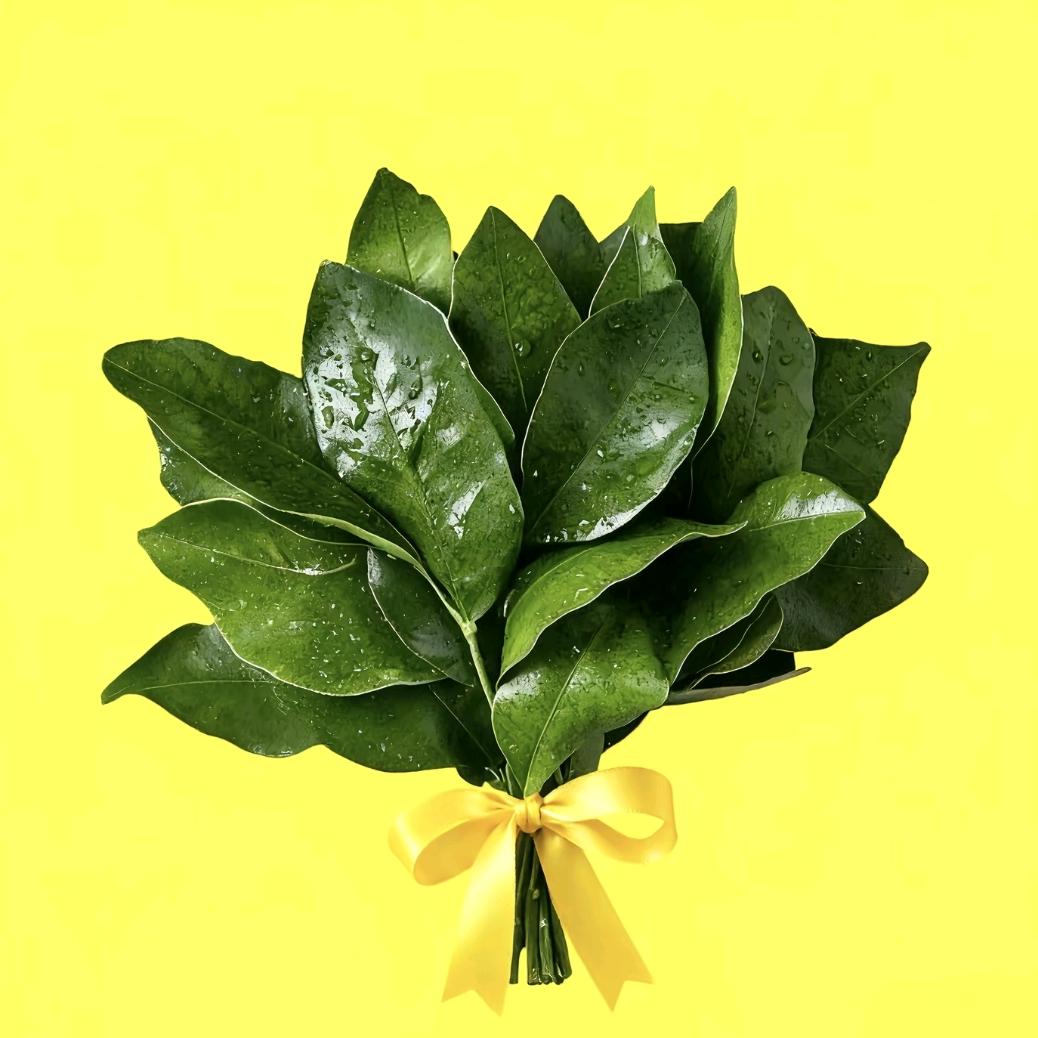 ♞吴浩宇✔大哥有点甜👿