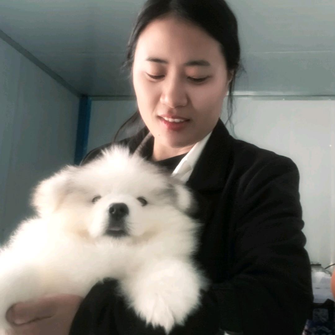 唐糖不甜