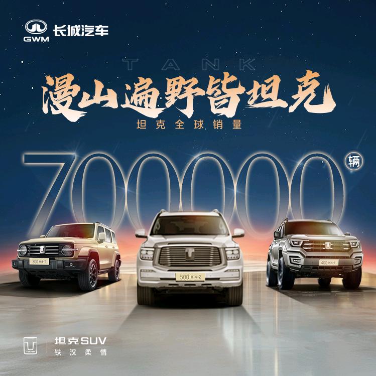 成都三和坦克二手车