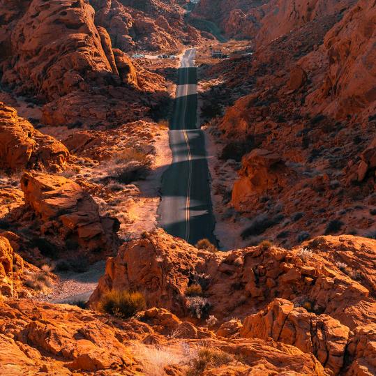 🌸余生很贵🌸