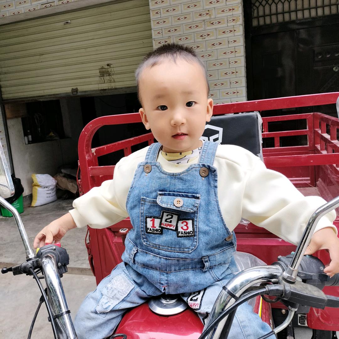 杨