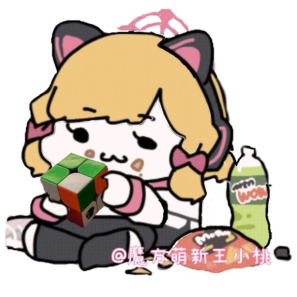 魔方萌新王小桃