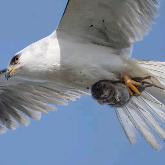 载着阳光行- ☀️- 一程一风景