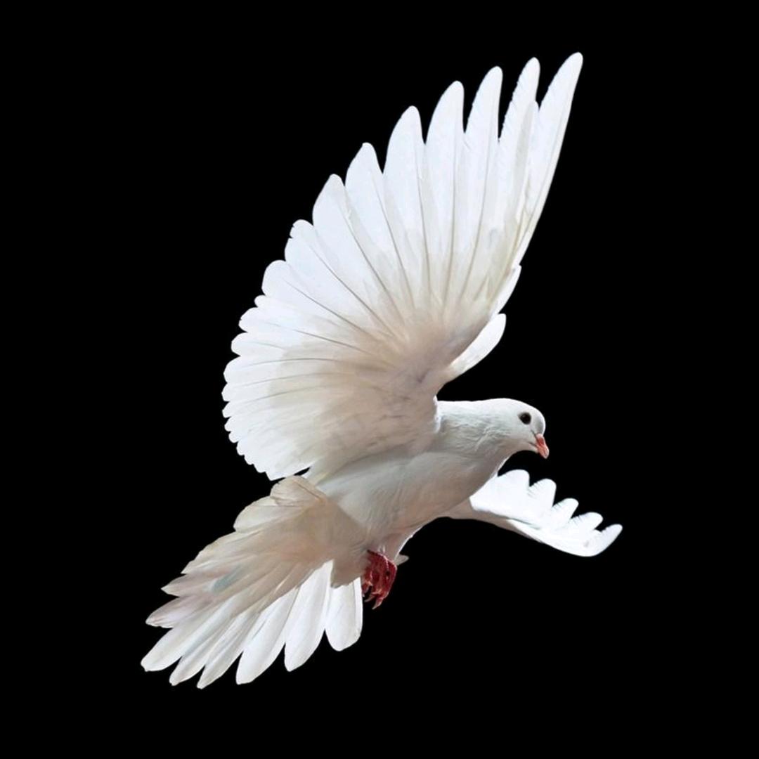 兴佳景驾校刘教练