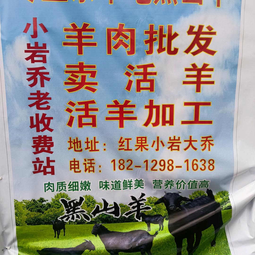 红果大量批发羊肉，《大结羊零售》