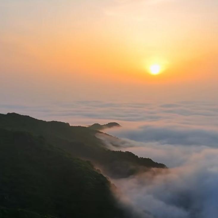 你是我唯一的执着