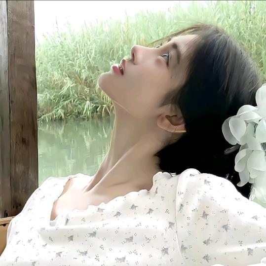 与迷雾相拥
