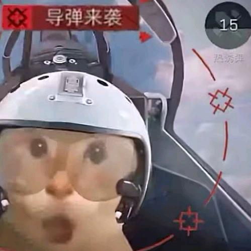 双面鼠(三角洲撞车，代肝，跑刀)