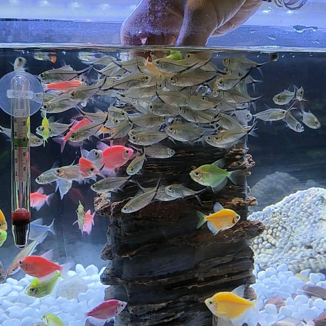 《邹丽～悦何》