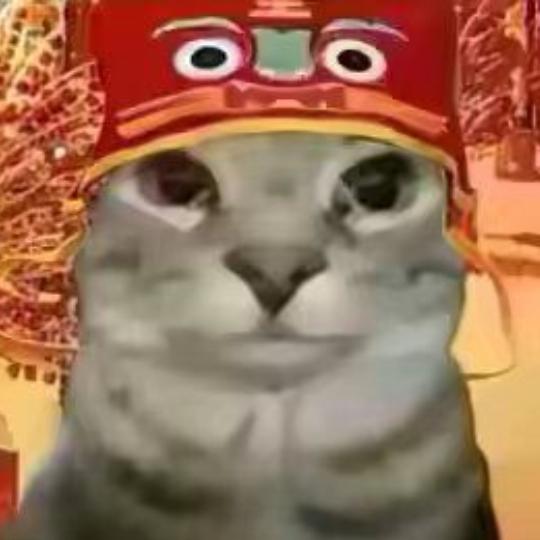 会烧烤的🐱[新年限定]