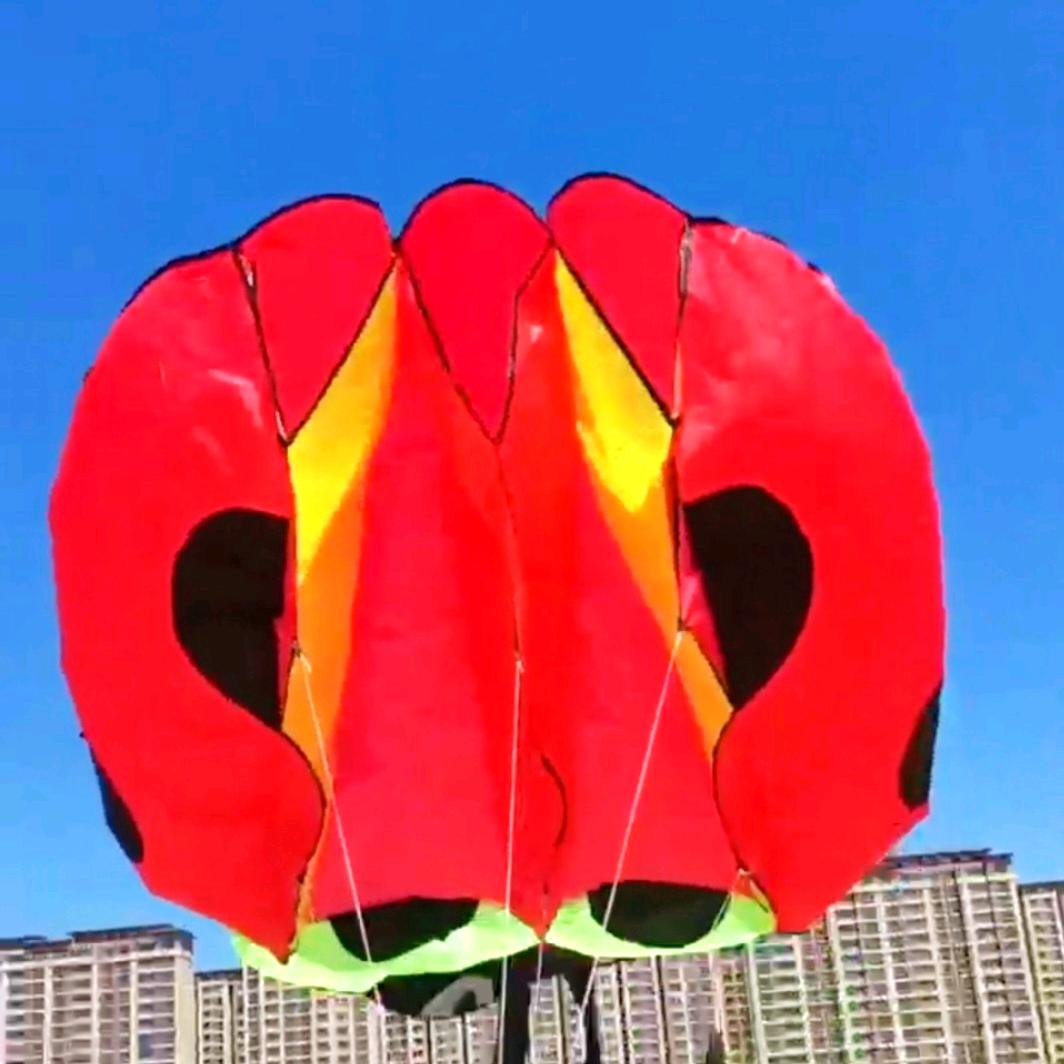 筝满天下（阳哥）