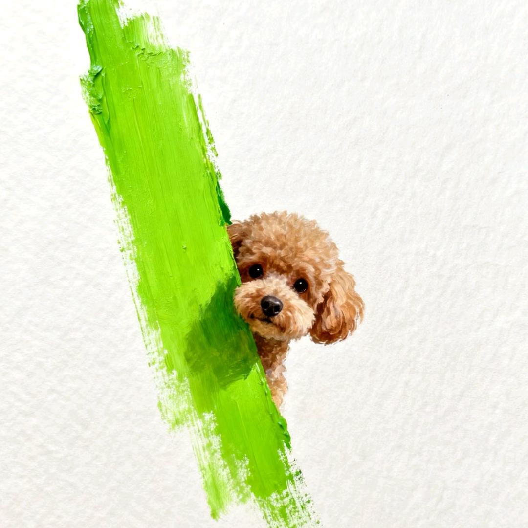小毛酱