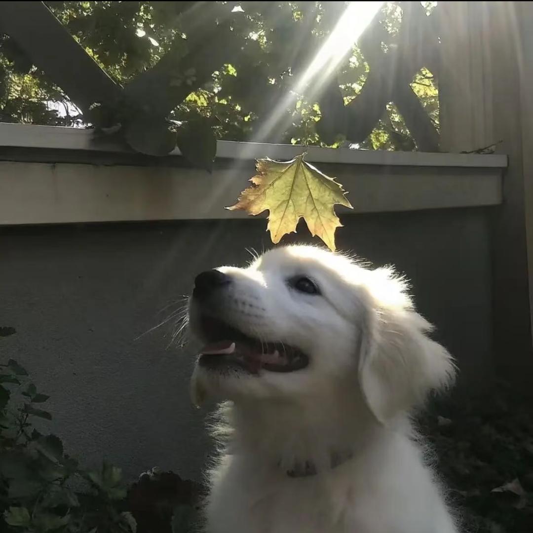 🌈秋秋秋秋