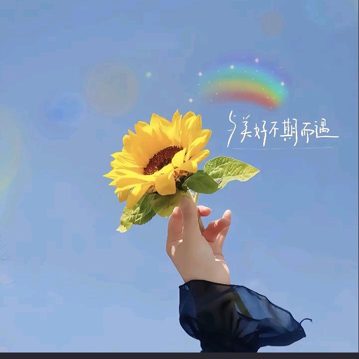 七歌星耀