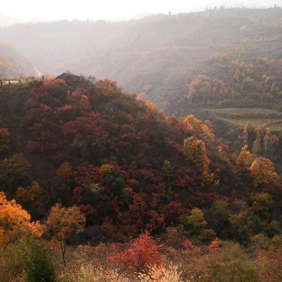 wy