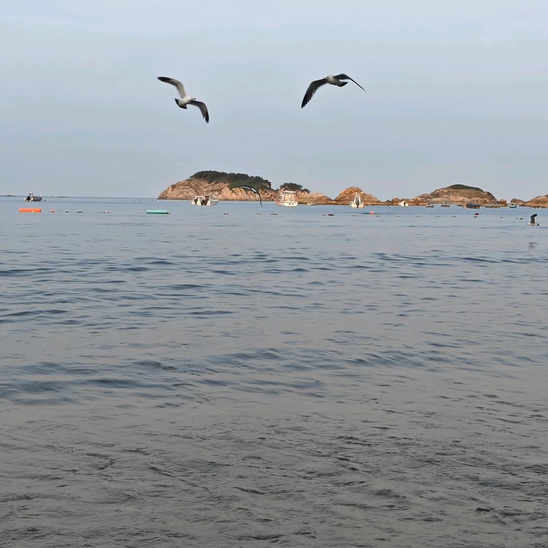 霆泽甄选