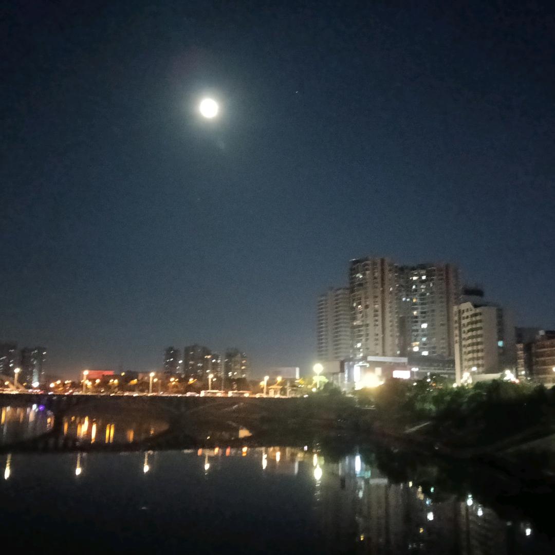 真情永恒