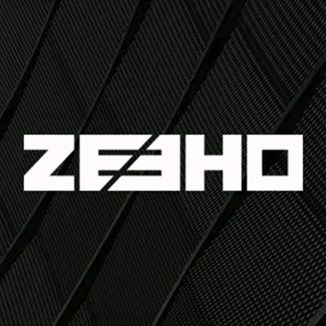 ZEEHO极核电动(长沙含浦联丰路店)