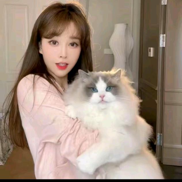 游鹿鹿（穿搭日记）