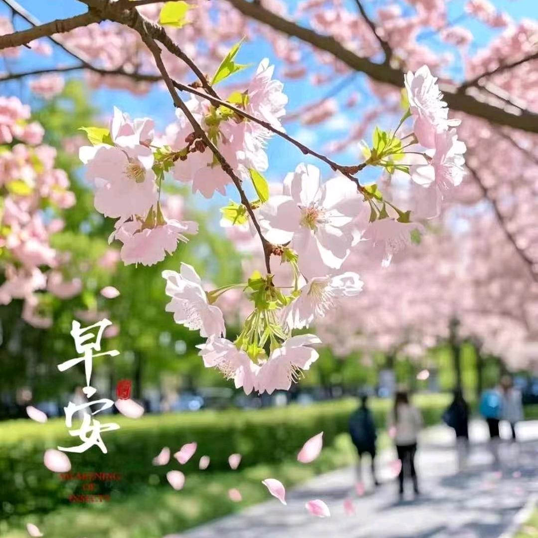 菲姐百货