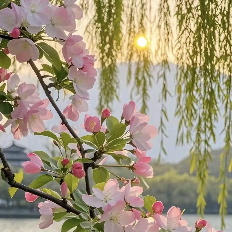 筱筱