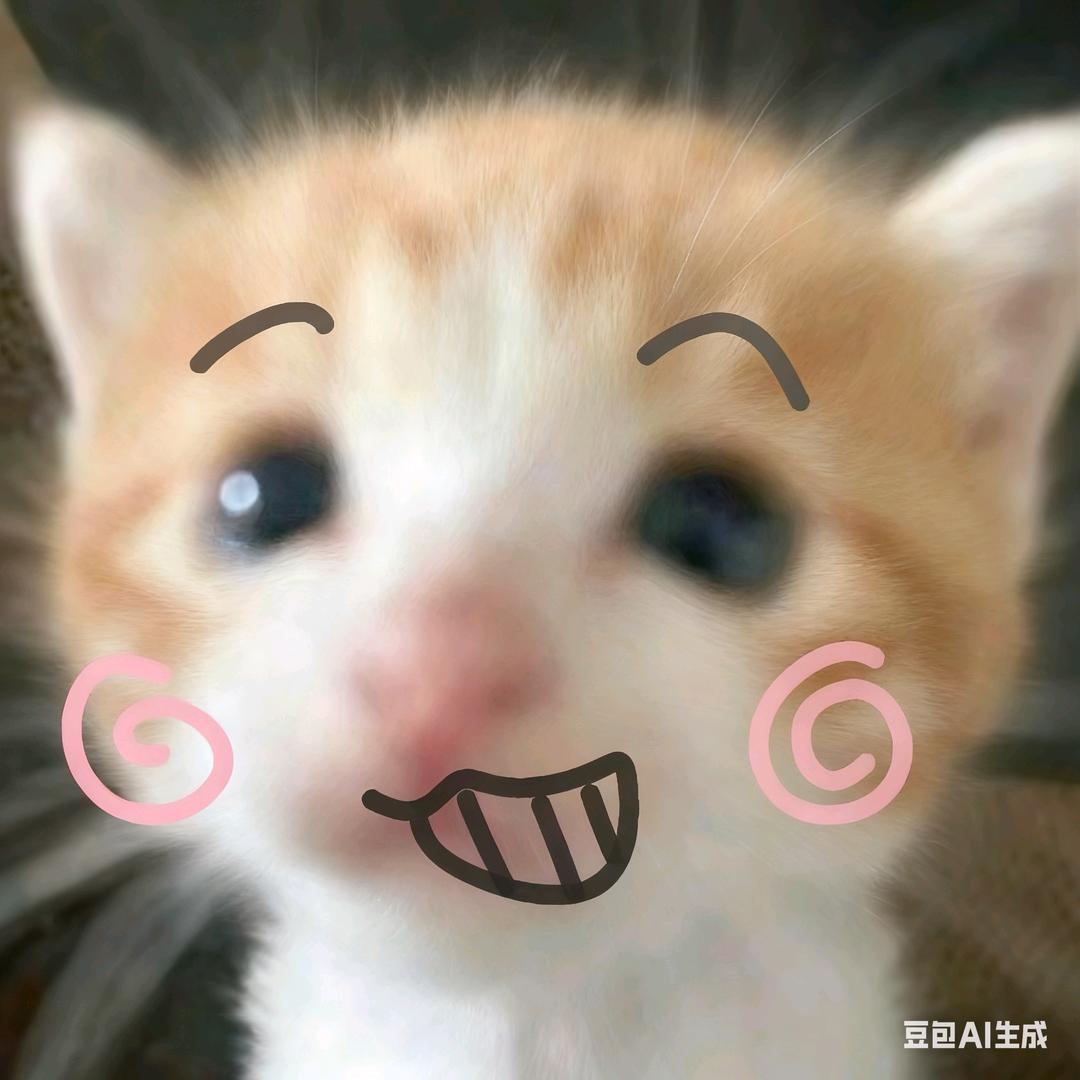 可爱白袜小南梁