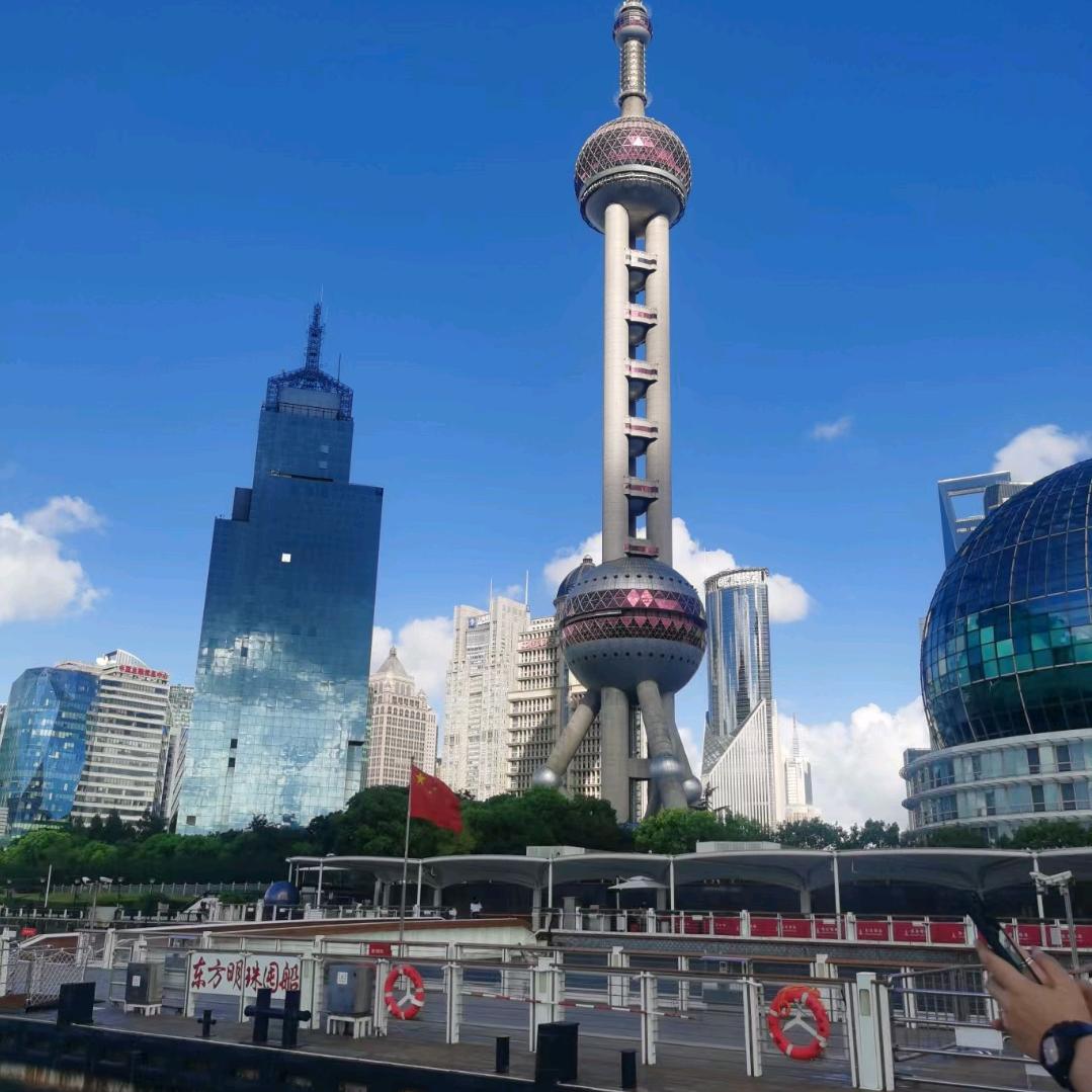 枳浊