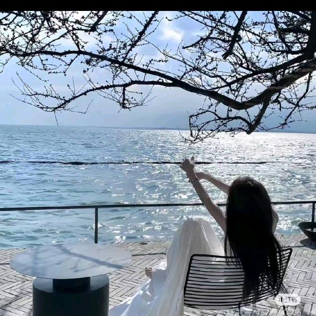 超级无敌巨大暴龙