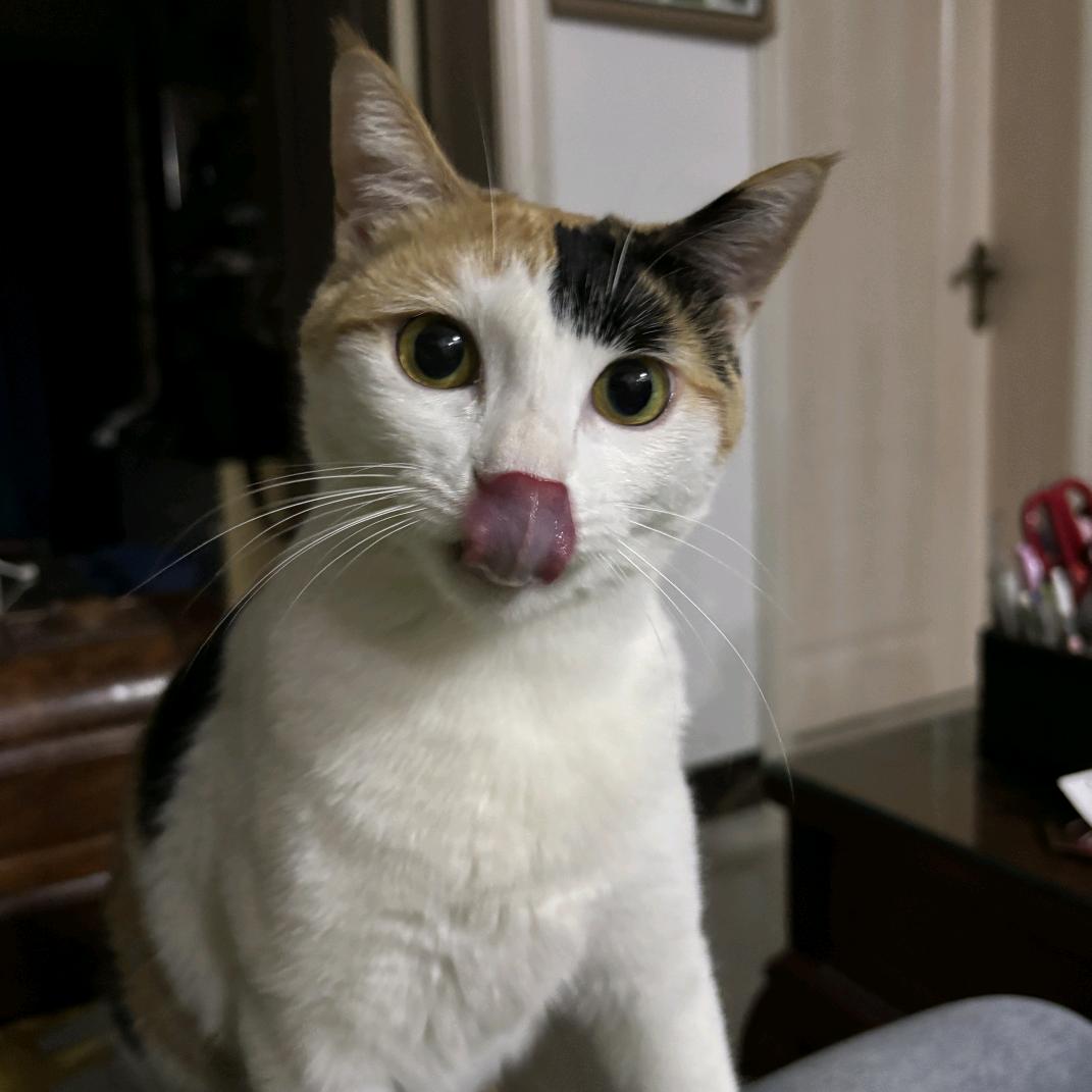 接二连三招兵买马