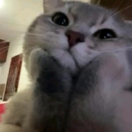 皮皮呀