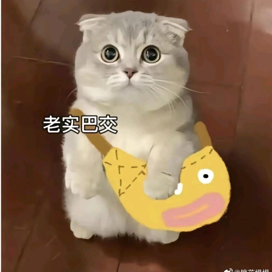 要记得开心一点，