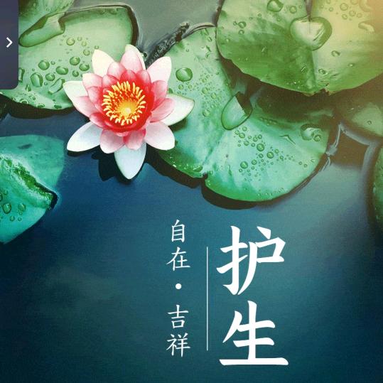 阳光🍀