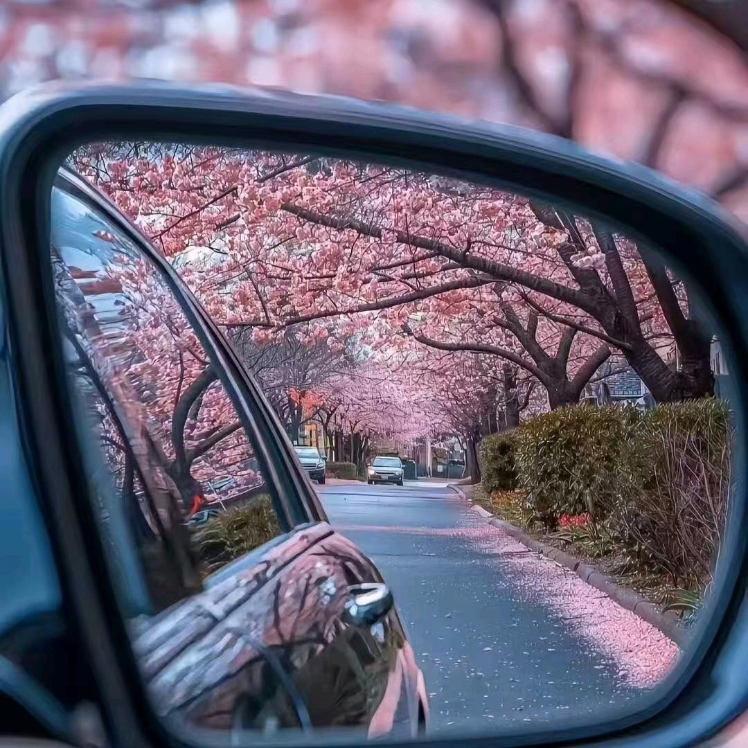 小小C