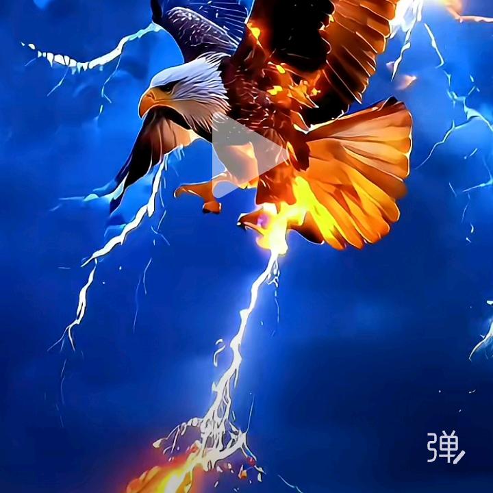 神密码箱