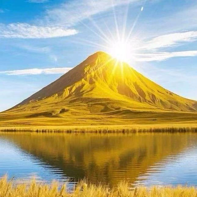 开心😁（养生中）