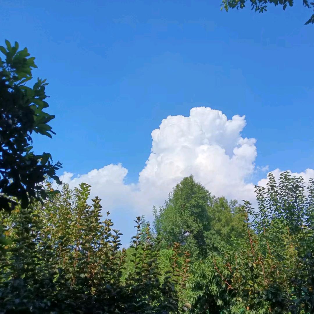 包容