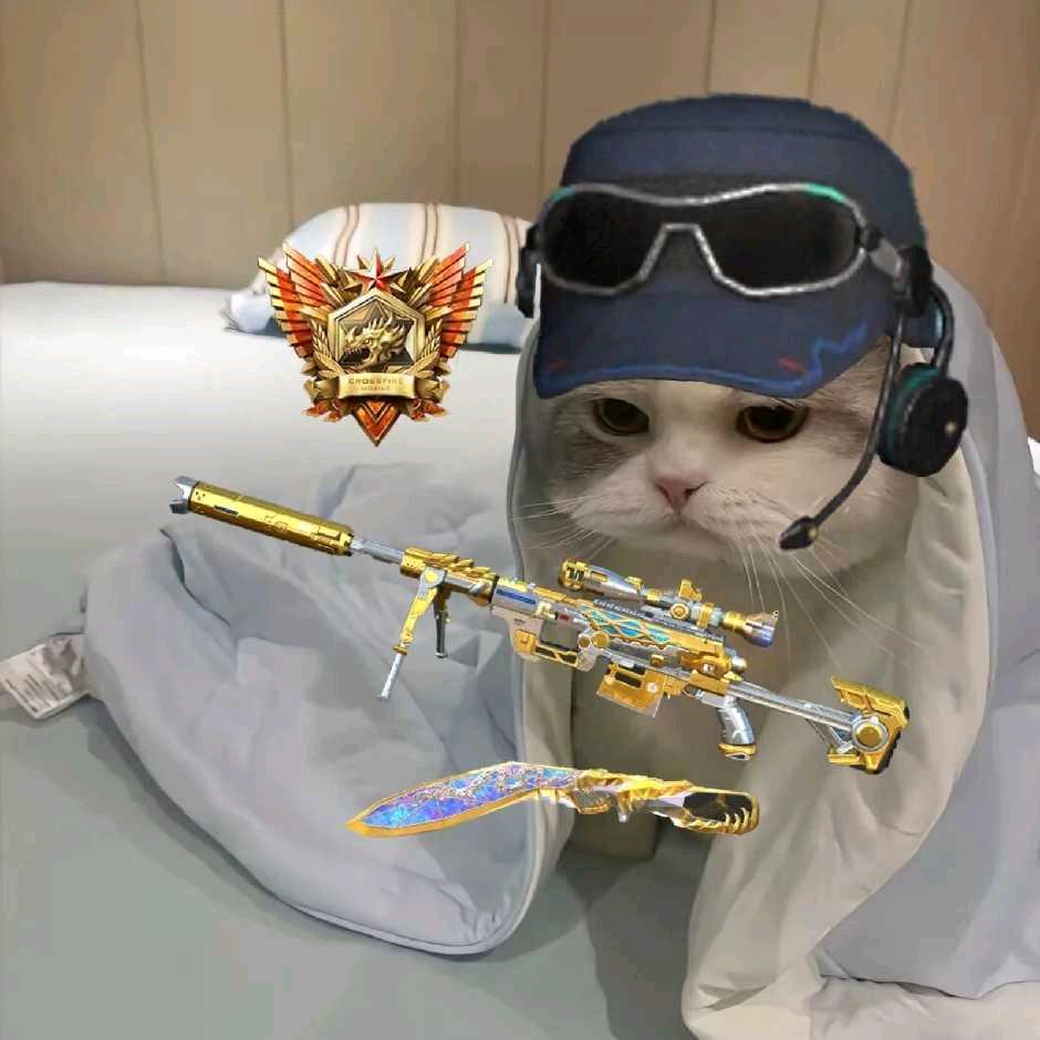 dy小徐