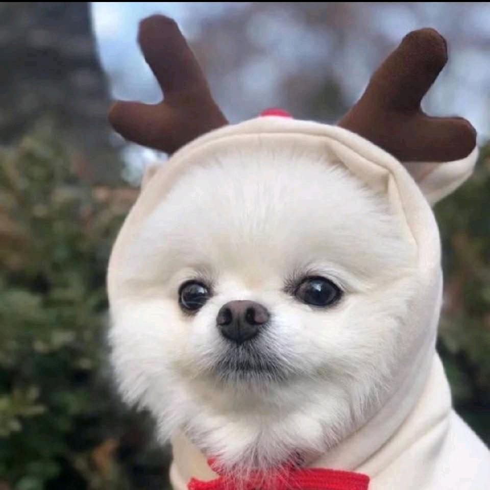 Simon.