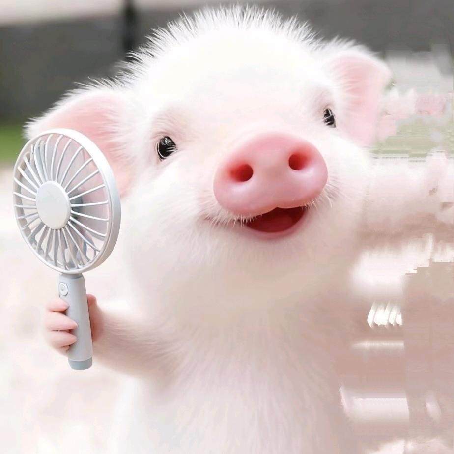 鼠子🐭