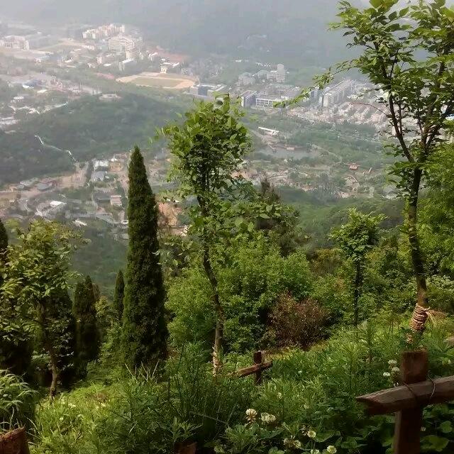 一直在路上奔跑着