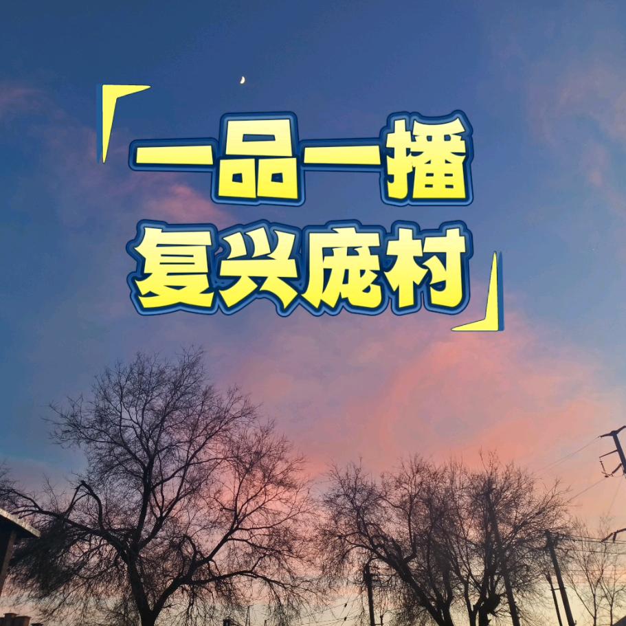 一品一播复兴庞村街道