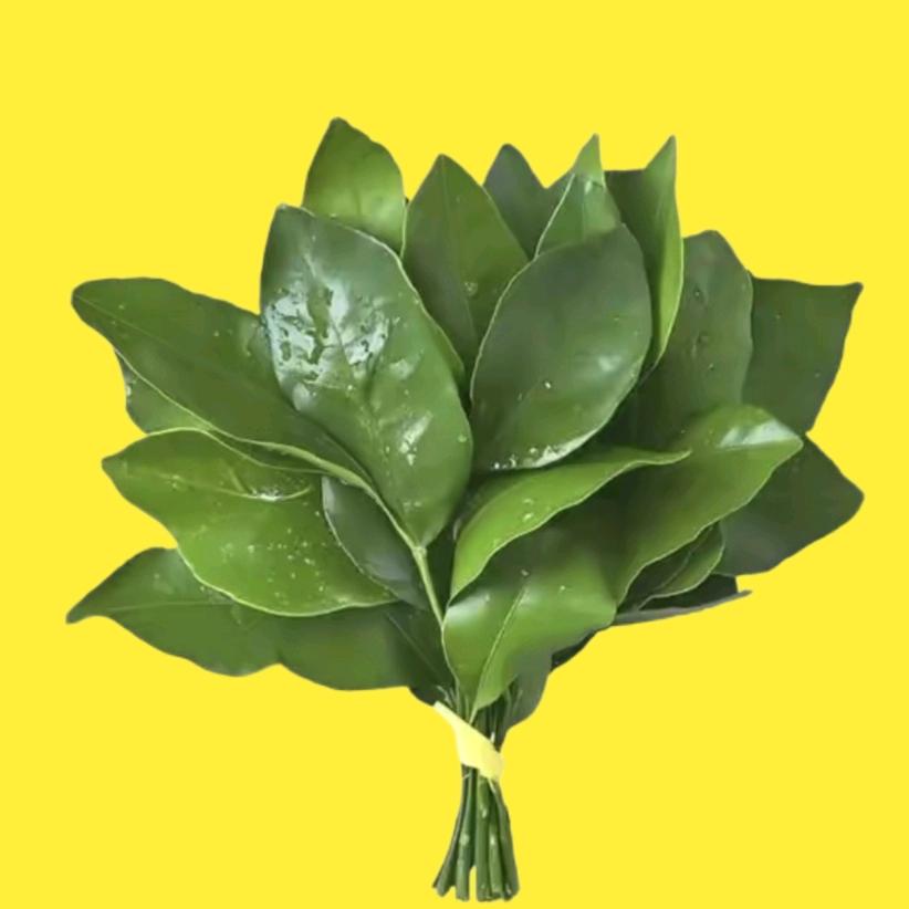 铜川新区精品租房