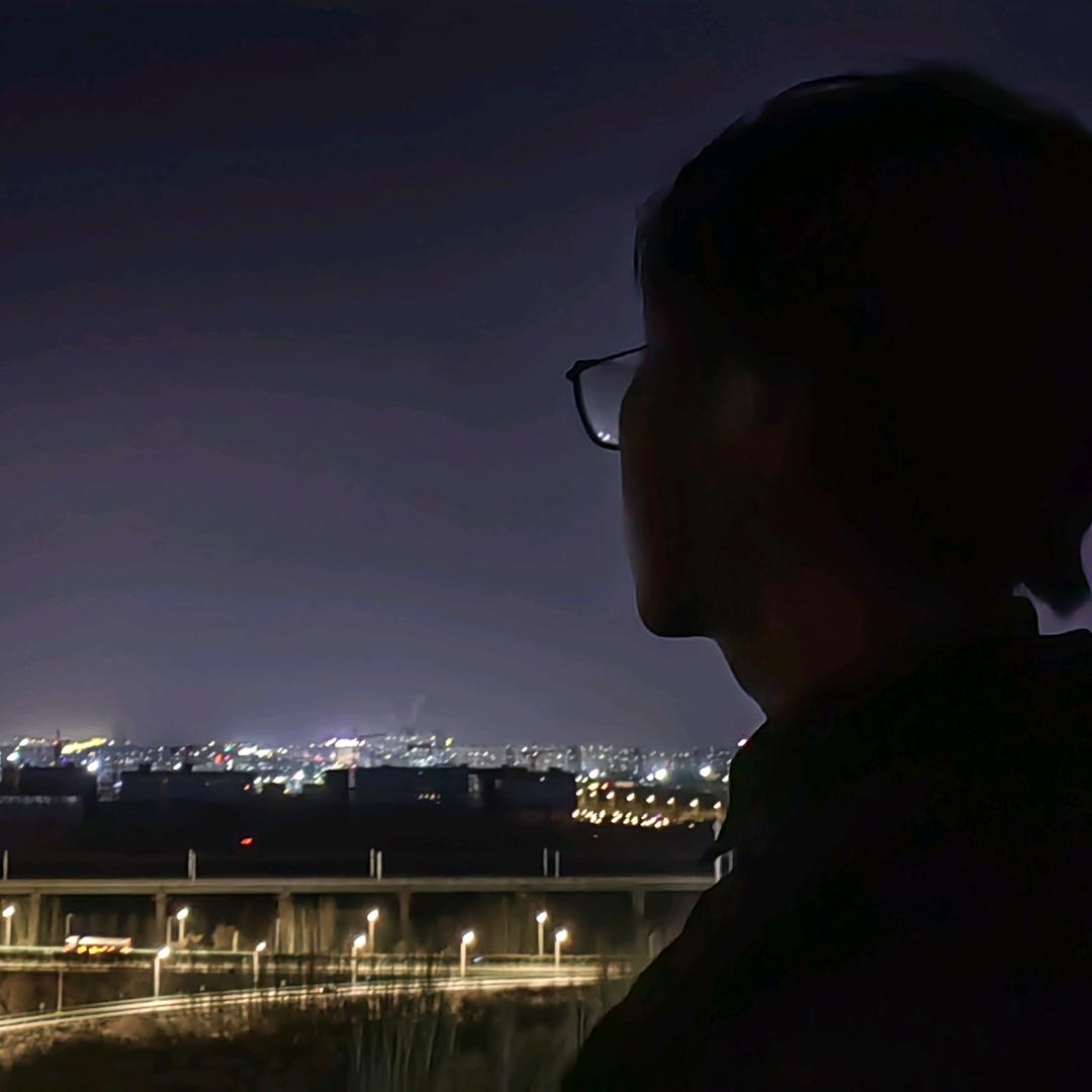 鹤唳华亭
